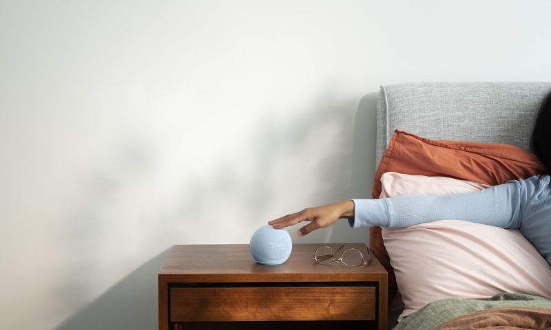 amazon echo dot slimme speaker nederland google nest