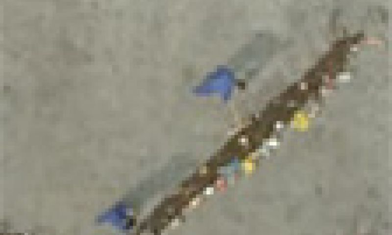 Sweepers clock