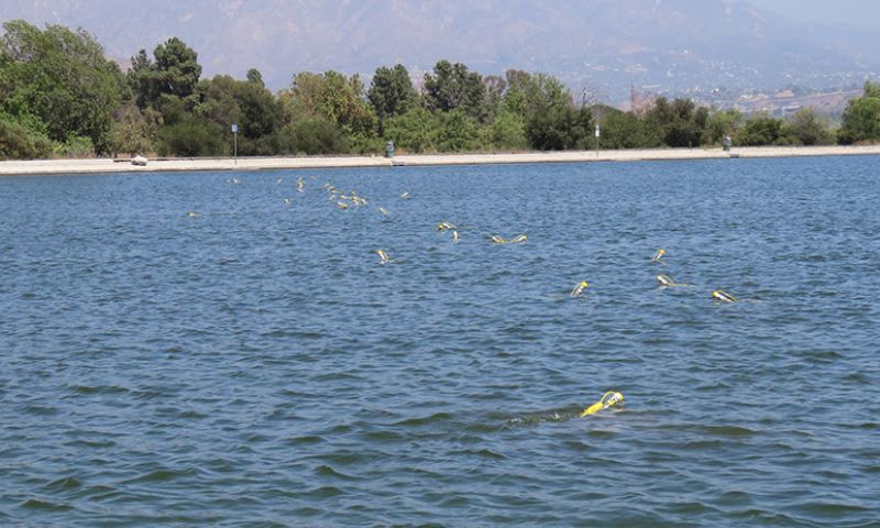 Dataduikers kunnen straks olievlekken opruimen