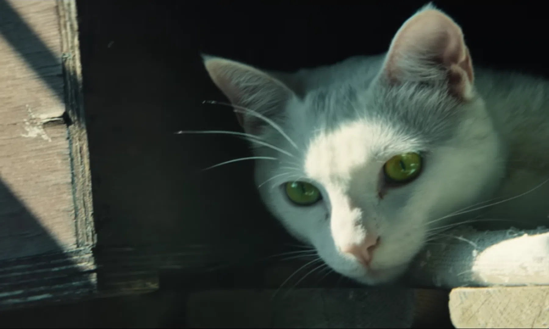 Video: 3 trailers voor game Tom Clancy's Ghost Recon: Wildlands