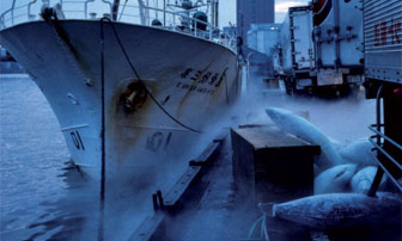 Overweldigd door Tokio