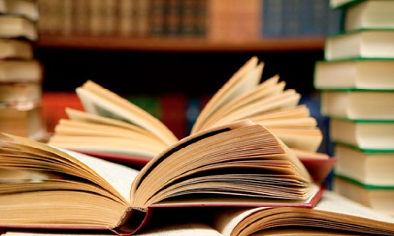 Bruna komt met onbeperkt lezen-abonnement