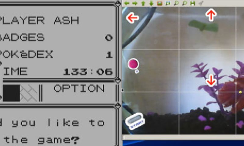 En dan nu: een vis die Pokémon speelt op Twitch