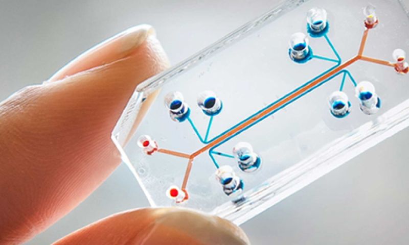 Kanker onderzoeken met organen op een chip