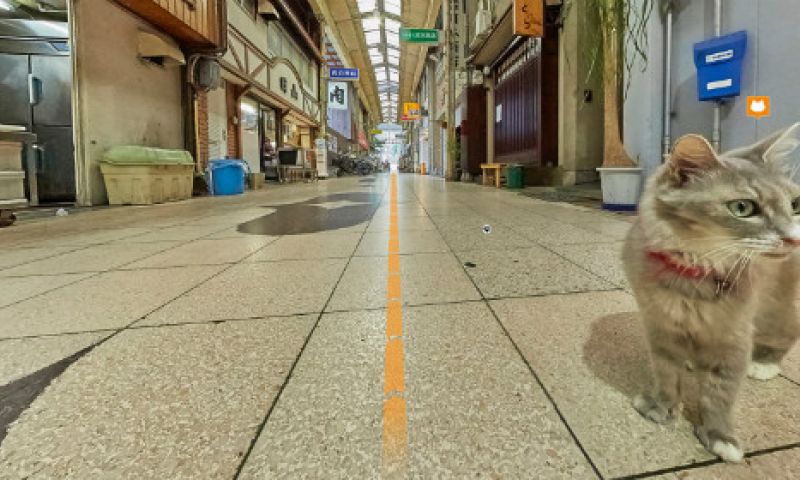 Banjer over de straten als een kat met Cat Street View