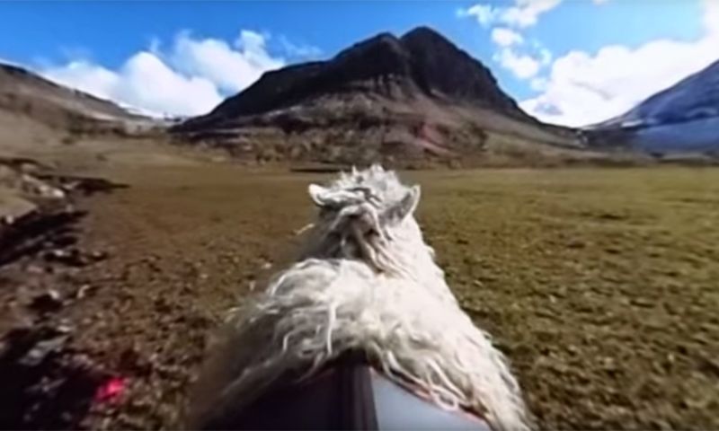 Video: Google Sheep View op de Faeröer