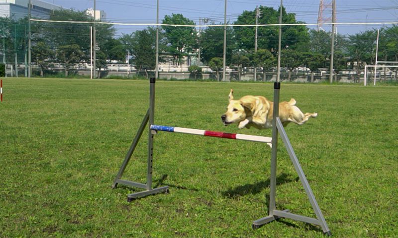 Deze super slowmotions maken smartphones straks