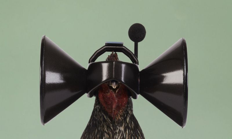 robotanica robots expositie amsterdam