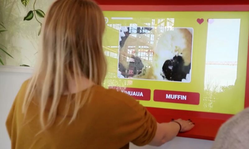 Google-game: is het een chihuahua of een muffin?