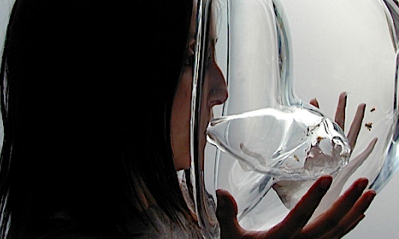 Bijen kunnen kanker detecteren