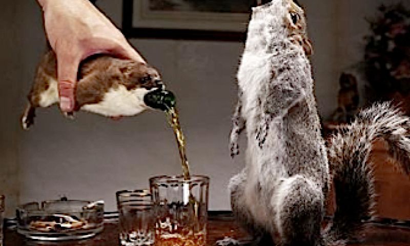 's Werelds sterkste bier