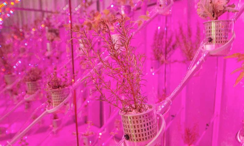 dutch design awards winnaar 2019 product habitat jury eindhoven