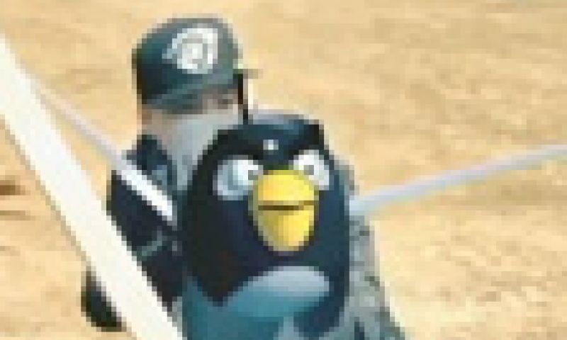 Boze vogels slopen zendmast