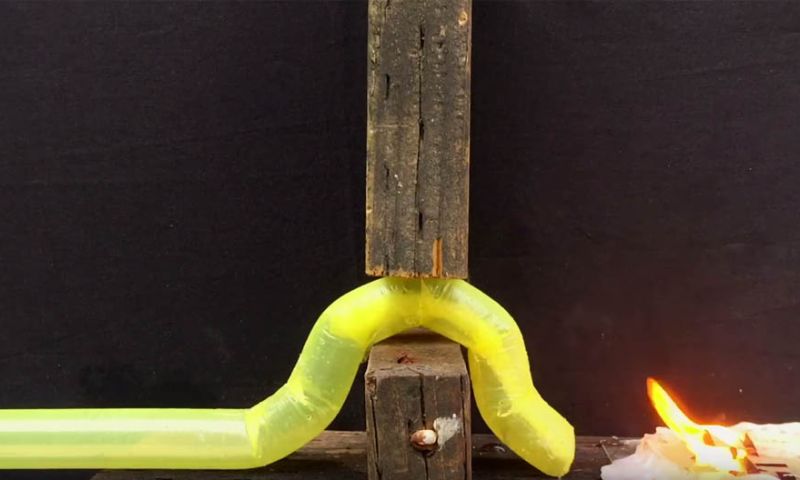 Deze robot groeit als een plant om obstakels heen