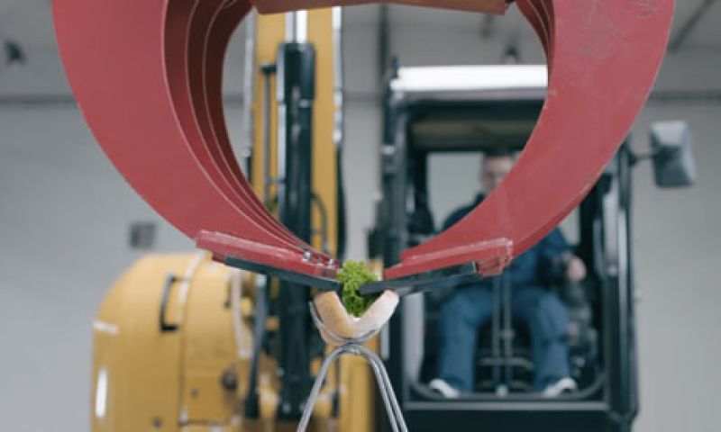 Video: Graafmachine maakt en serveert een hotdog