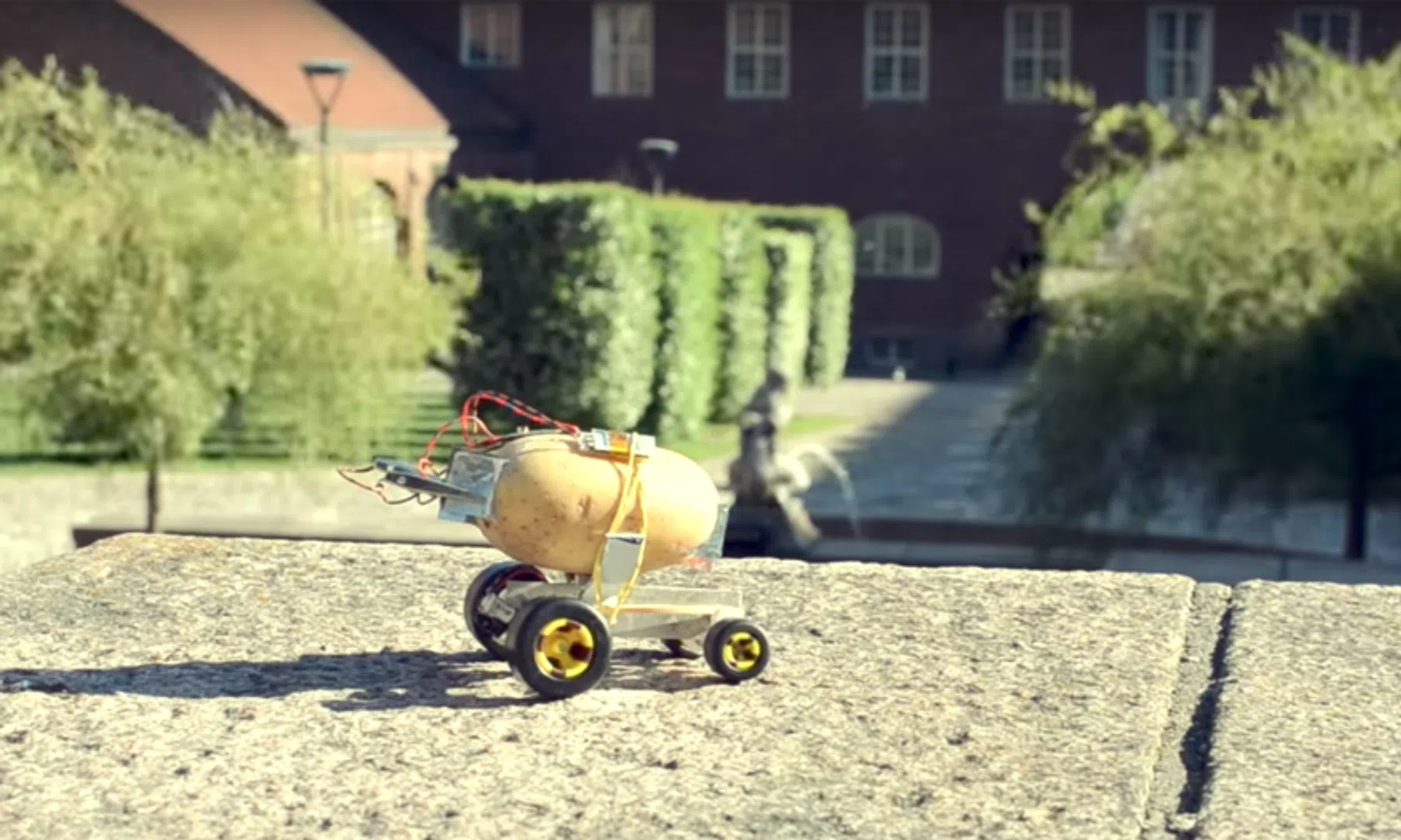 Video van de dag: zelfrijdende aardappel