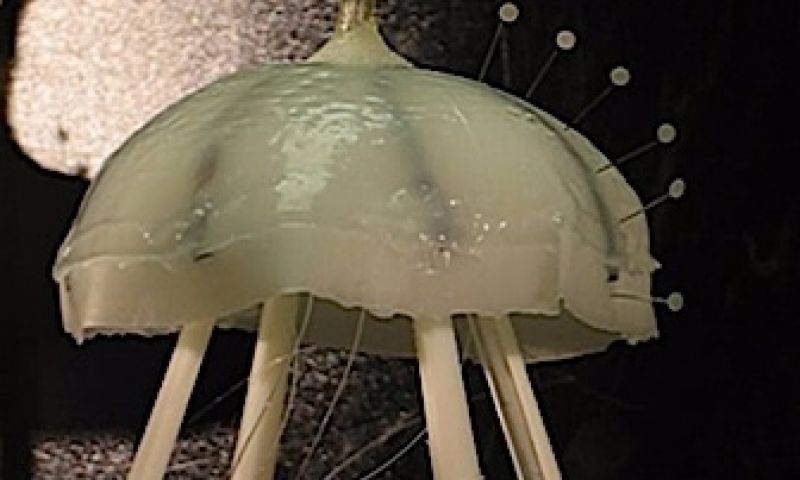 Meekijken naar nieuwste technologie