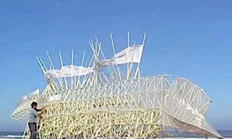 Strandbeest om te hebben en houwen