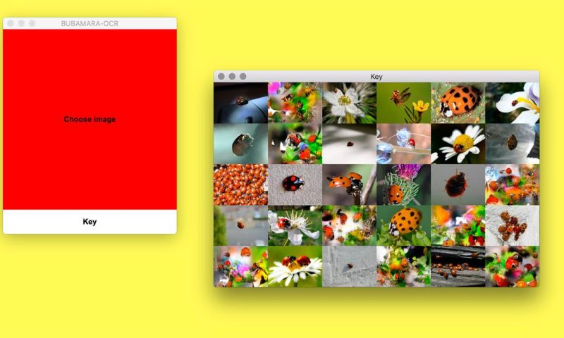 smart showroom apple store kunst stroom den haag downloadbare internetkunst