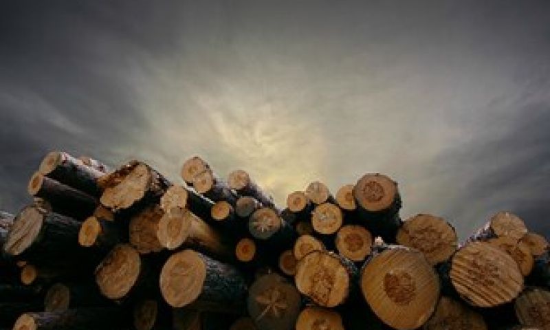 Daarom willen wij geen Telefoongids meer