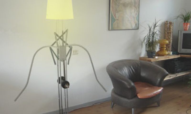 Knijpkat voor in de woonkamer