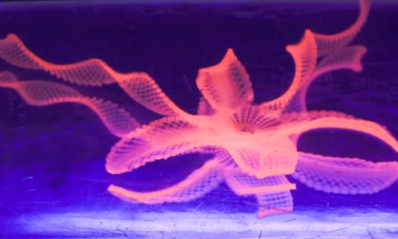 Video: 4D-printen, vormen die onder water 'shapeshiften'