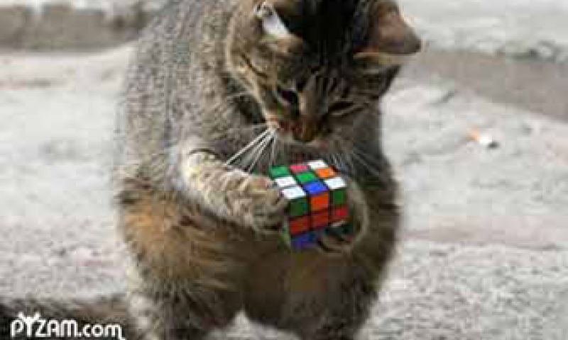 Wikileaks-taskforce bij de CIA: WTF