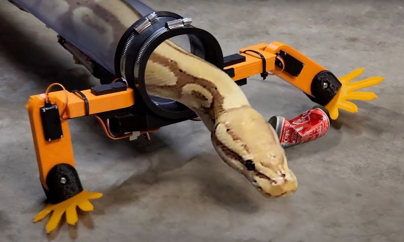 Uitvinder laat slang lopen met bizarre robot 