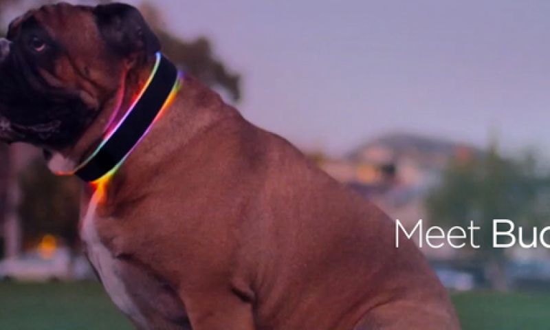 Opzichtige LED-halsband voor honden trackt je viervoeter