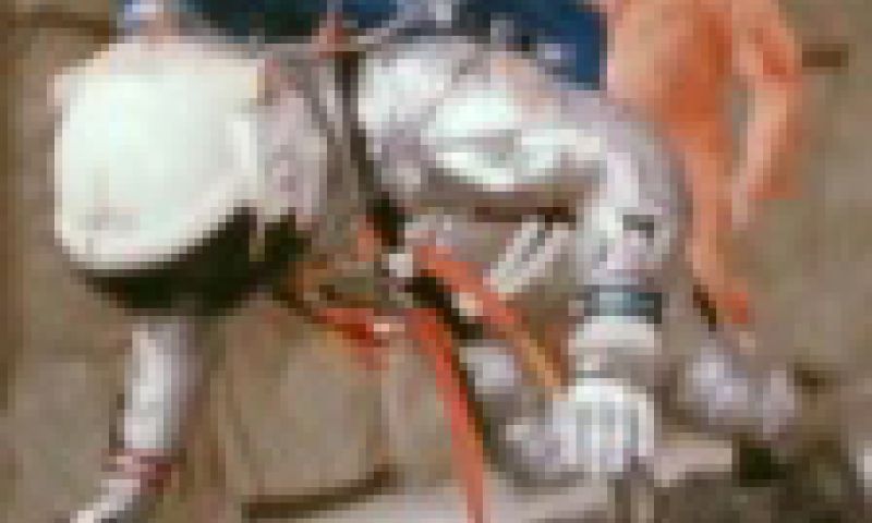 Tonies Tunes: The Vimeo Underground Deel 2