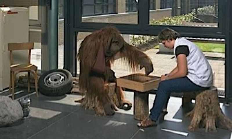 Interactieve aap speelt boter-kaas-en-eieren