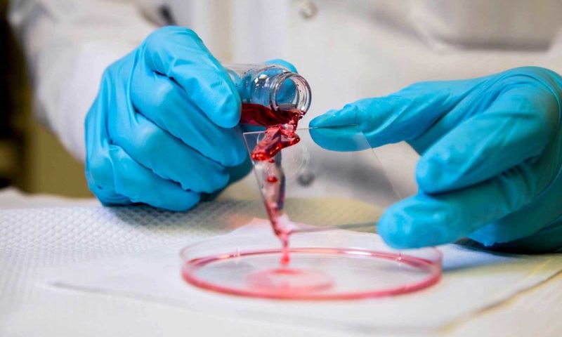 © University of Michigan