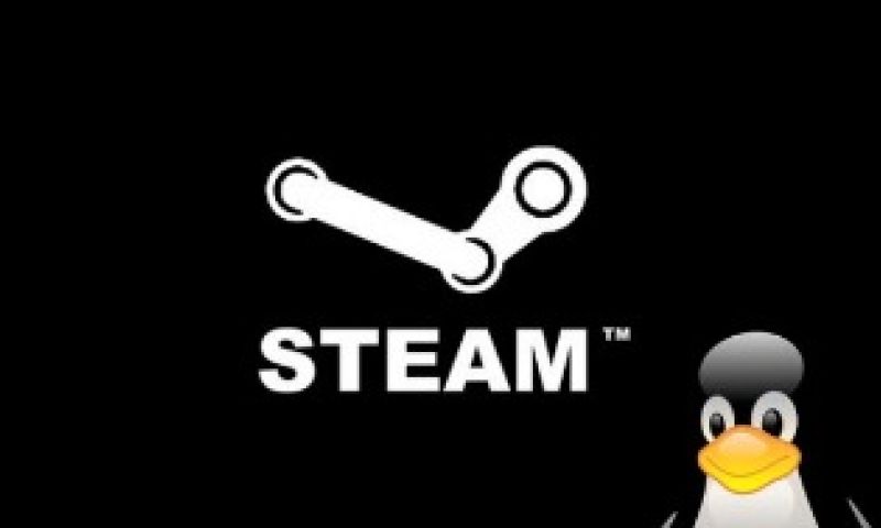 Gameplatform Steam komt naar Linux