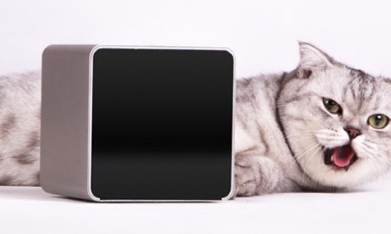 Crowdpleaser: altijd bij je hond of kat met Petcube