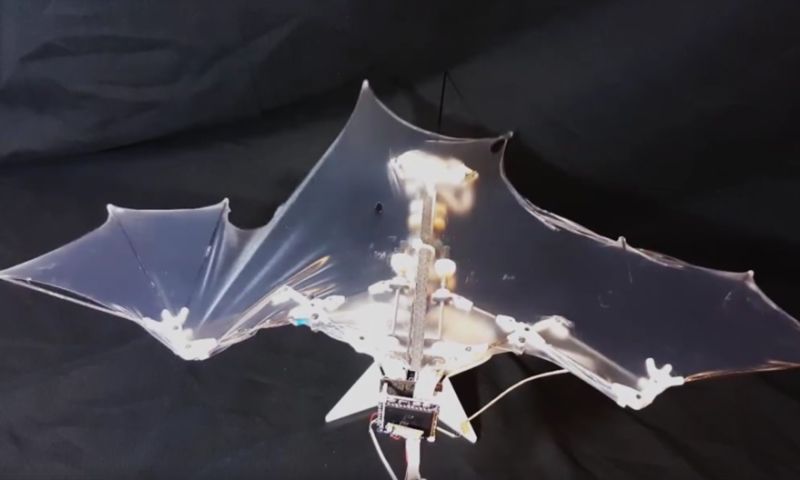 Bat Bot bijna net zo wendbaar als echte vleermuis