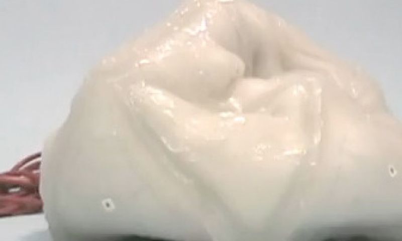 Robots met onbekend uiterlijk