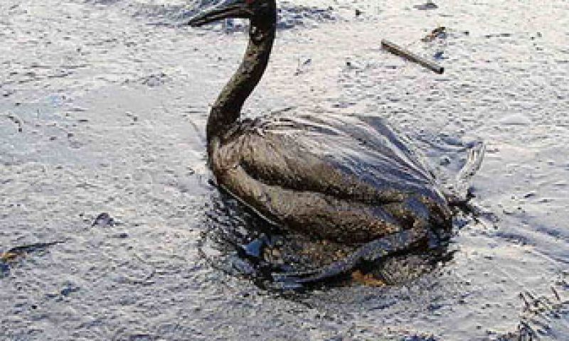 WK en Megan Fox in toptien zoekopdrachten