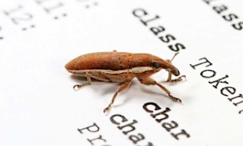 Veiligheidslek na 17 jaar gedicht