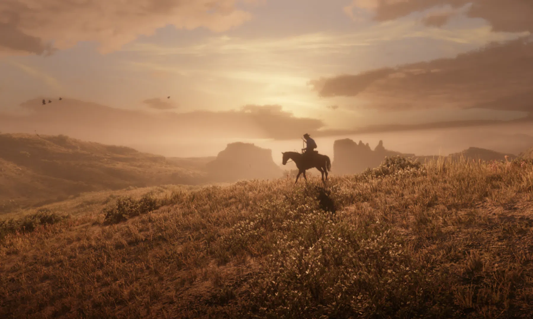 Red Dead Redemption 2 in november naar pc en Stadia