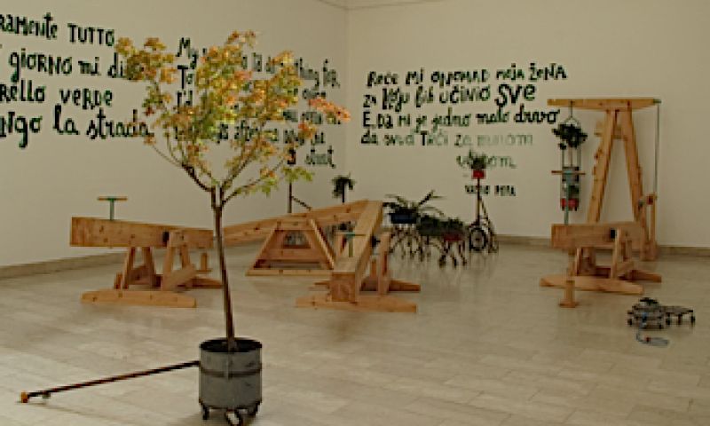 Even de plant uitlaten