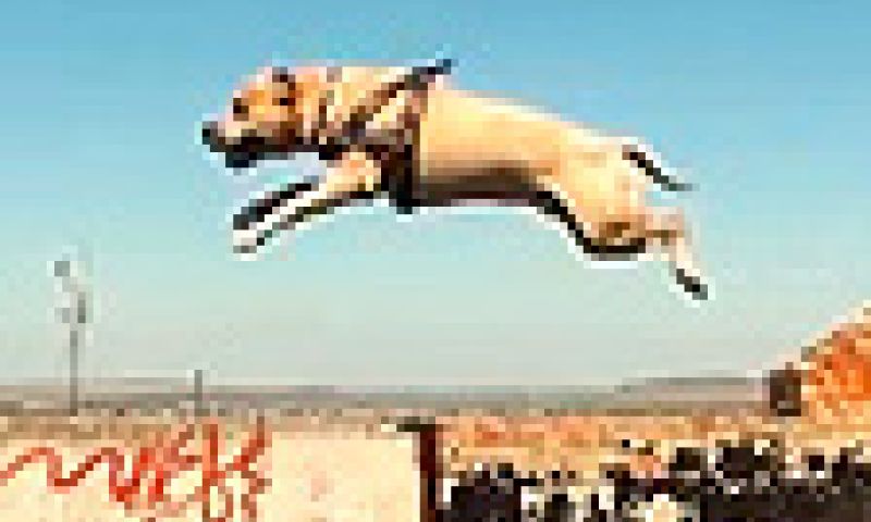 Superhond laat zichzelf uit