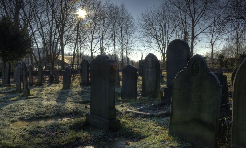 Hoe en wanneer ga je dood? Deze simulatie geeft het antwoord