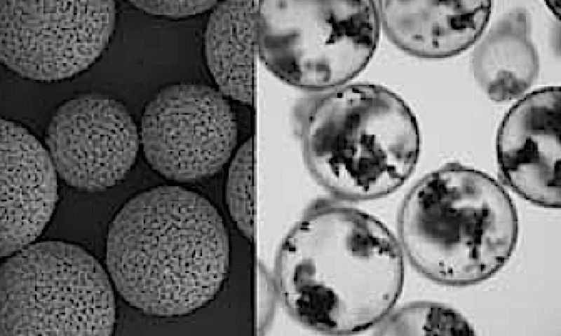 Zelfhelende pleisters voor elektronica