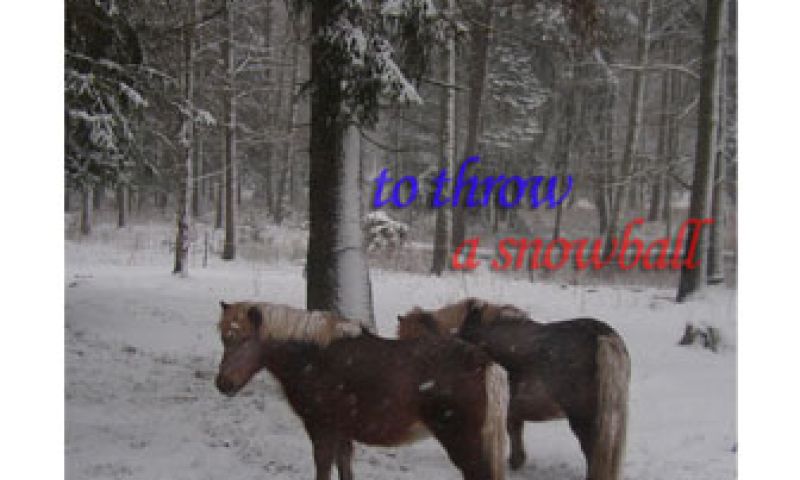 Genereer je eigen albumcover