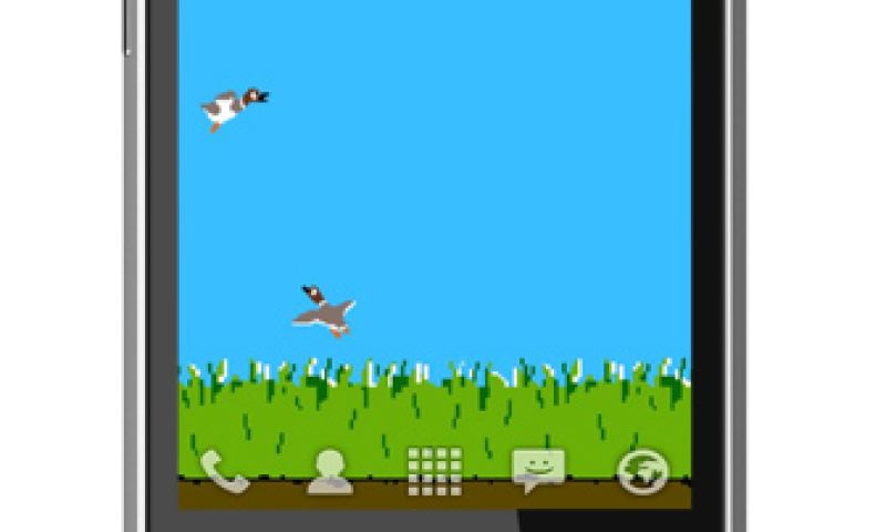 Bird Hunt