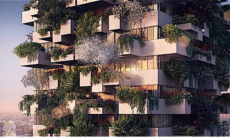 Sociale huur starterswoning in een bos in de stad