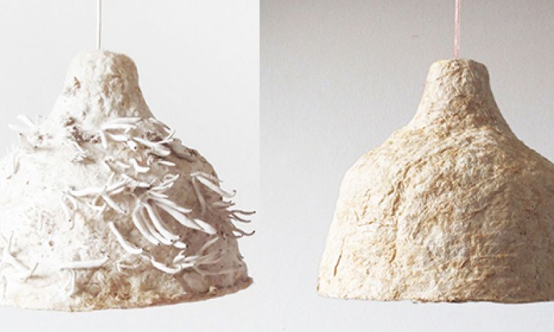 Hekel aan plastic? Koop een lamp van paddo's