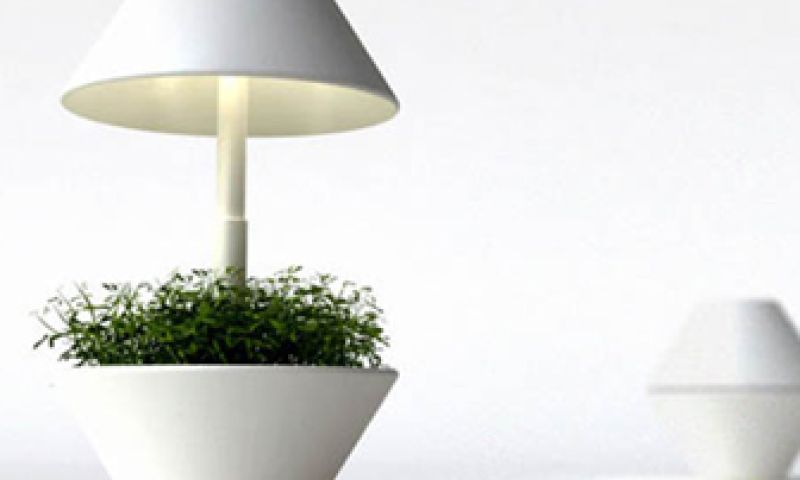 Plant met eigen lichtbron