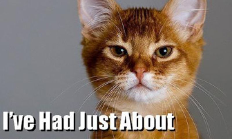 Blogimperium Gawker temt reaguurders