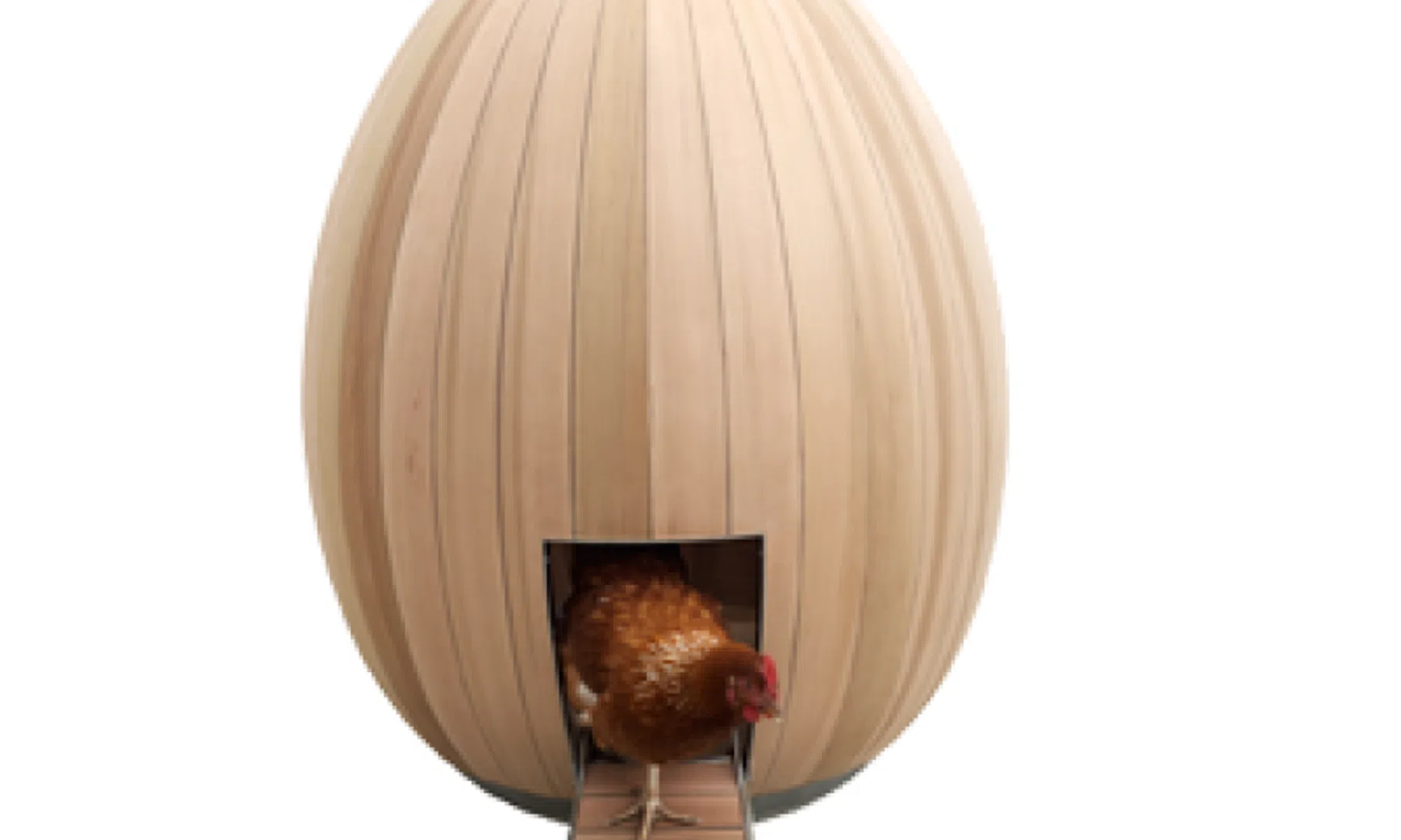 Een ei als kippenhok